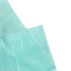 8ct Pegged Tissue Light Green - Spritz™