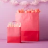 X-Large Gift Bag Pink Two Color Block - Spritz™