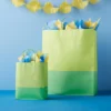 X-Large Gift Bag Green Two Color Block - Spritz™